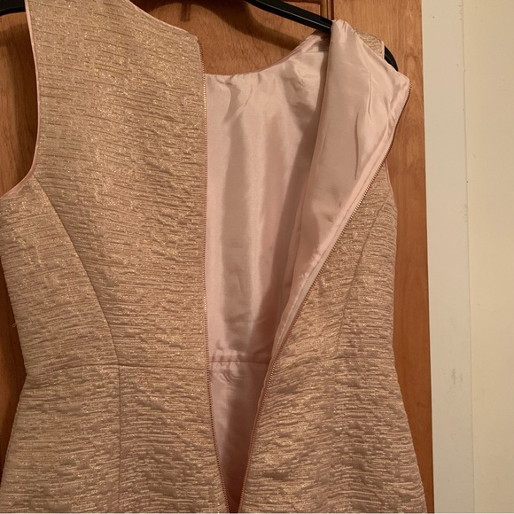 Kate Spade Della Dress Size 8 -All that glitters back zip sleeveless in Blush - Picture 13 of 16